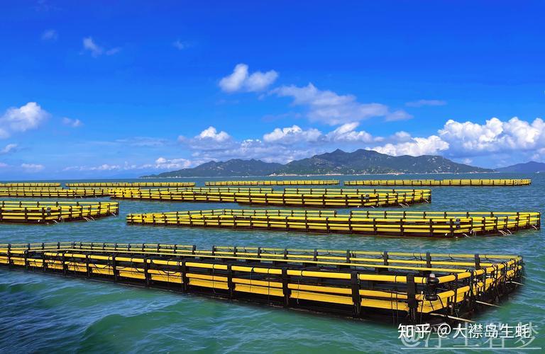 海洋经济助推中国发展,乘数效应撬动10万亿蓝色市场 海洋经济助推中国发展,乘数效应撬动10万亿蓝色市场